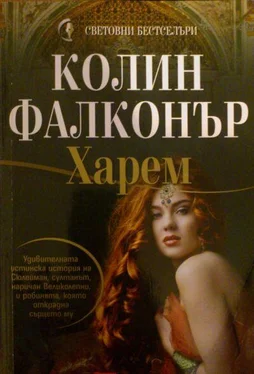 Колин Фалконър Харем обложка книги