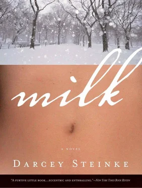 Darcey Steinke Milk обложка книги