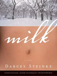 Darcey Steinke - Milk