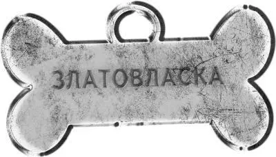 Златовласка пыталась просунуть голову в лямки портфеля Эми захлестнула волна - фото 4