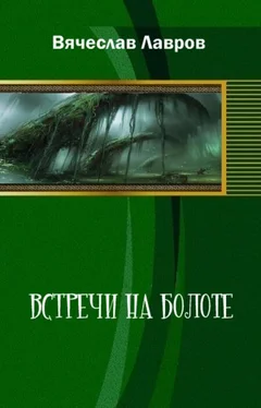 Вячеслав Лавров Встречи на болоте обложка книги