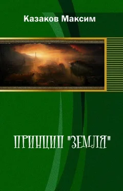 Максим Казаков Принцип Земля обложка книги