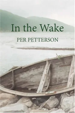 Per Petterson In The Wake обложка книги