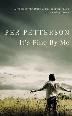 Per Petterson It's Fine By Me обложка книги