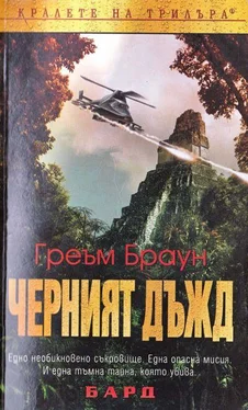 Греъм Браун Черен дъжд обложка книги