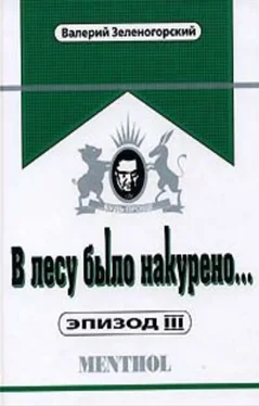 Валерий Зеленогорский В лесу было накурено... Эпизод III обложка книги