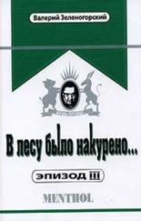 Валерий Зеленогорский - В лесу было накурено... Эпизод III