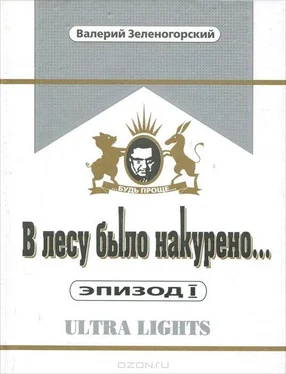 Валерий Зеленогорский В лесу было накурено... Эпизод I обложка книги