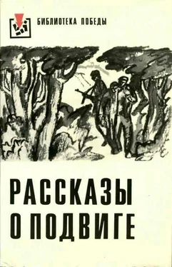 Эмил Манов Веточка миндаля обложка книги