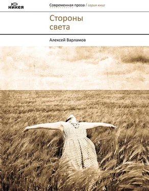 Алексей Варламов Стороны света (сборник) обложка книги