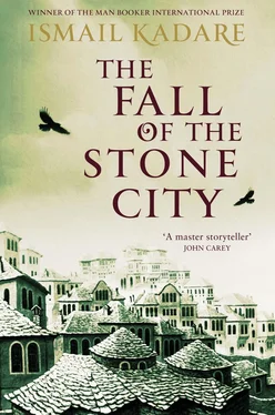 Ismail Kadare The Fall of the Stone City обложка книги