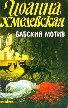 Иоанна Хмелевская Бабский мотив обложка книги