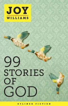 Joy Williams 99 Stories of God обложка книги