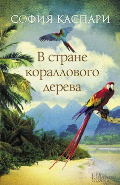 София Каспари В стране кораллового дерева обложка книги