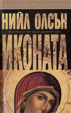 Нийл Олсън Иконата обложка книги