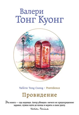 Валери Тонг Куонг Провидение обложка книги