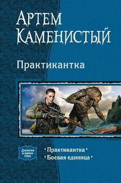 Артем Каменистый Практикантка. Дилогия обложка книги