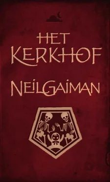 Neil Gaiman Het kerkhof обложка книги