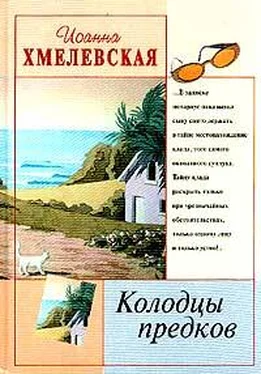 Иоанна Хмелевская Колодцы предков обложка книги