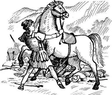 Бій між Спартаком і Геллієм був очікуваний Пробираючись між трупами на - фото 37