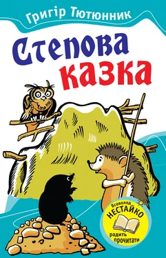 Григір Тютюнник Степова казка (збірка) обложка книги