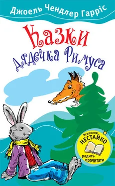 Джоель Чендлер Гарріс Казки дядечка Римуса обложка книги