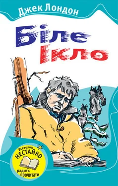 Джек Лондон Біле Ікло (Збірник) обложка книги