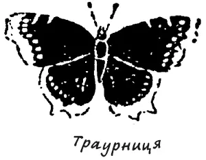 І тут хлопчика наче прорвало він засипав незнайомця питаннями і навіть - фото 10