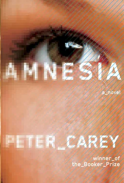 Peter Carey Amnesia обложка книги