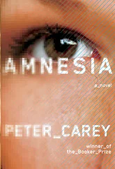 Peter Carey - Amnesia