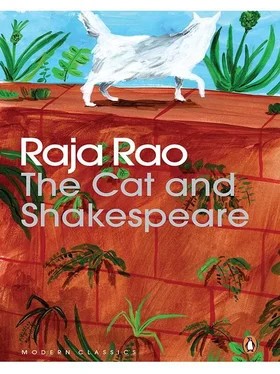 Rao Raja The Cat and Shakespeare обложка книги