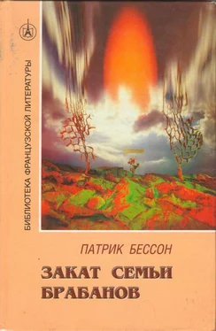 Патрик Бессон Закат семьи Брабанов обложка книги