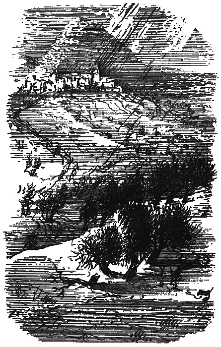 И вдруг поднимается ветер Среди тягостной духоты в лицо потянуло свежестью - фото 12