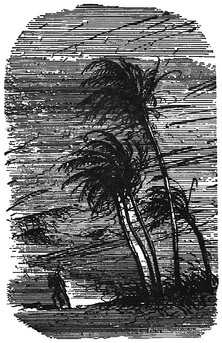 Гроза начинает утихать лишь на рассвете когда сквозь черную пелену дождя уже - фото 13