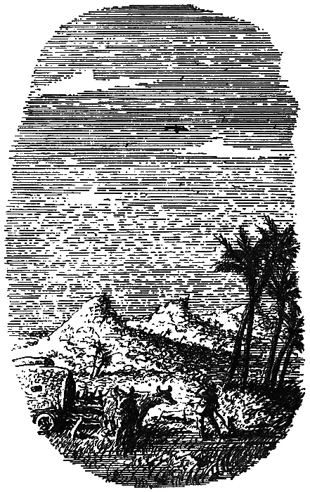 Фургонов оказалось два Дойдя до дальнего конца леса колеи повернули и пошли - фото 14