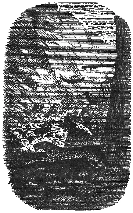 Они ползут наискосок по гладкой поверхности скалы пробираясь от трещины к - фото 15