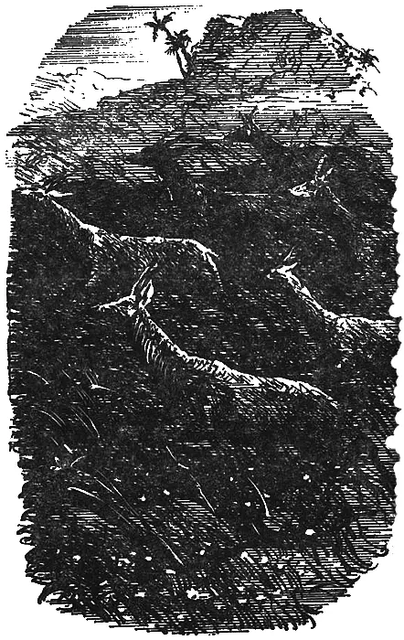 Весь день мимо них лавиной течет стадо Их убежище крошечный островок среди - фото 16