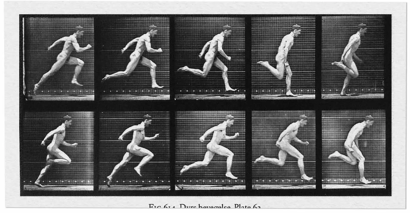 Fig 23 Eadweard Muybridge Animal Locomotion Plate 63 1887 From - фото 14