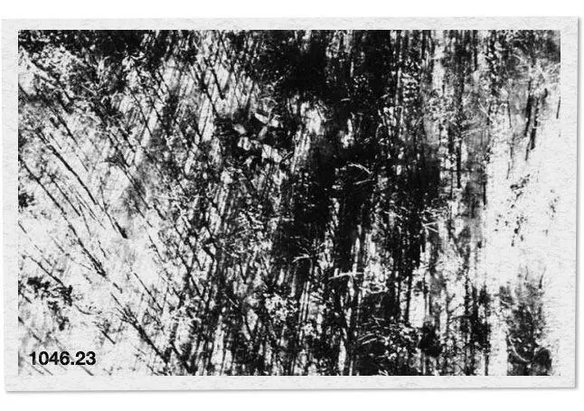 Fig 312 Frame still from Kirk To Gåselandet From RøedLarsen P - фото 50