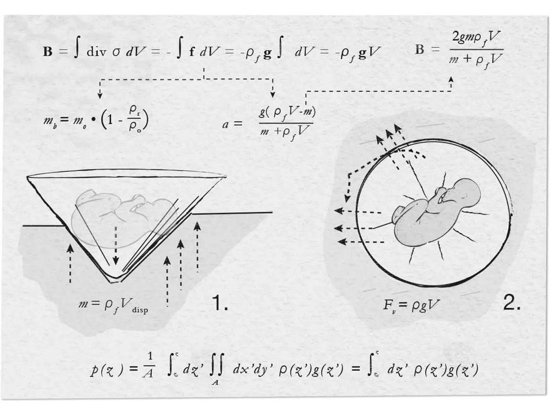 Fig 41 Nón lá Hydrostatic Buoyancy Analysis From RøedLarsen P - фото 52
