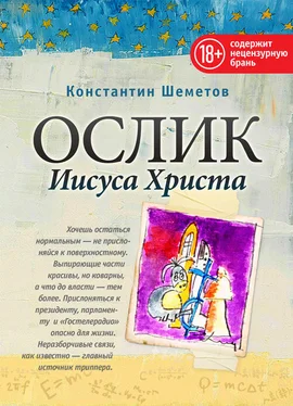 Константин Шеметов Ослик Иисуса Христа обложка книги