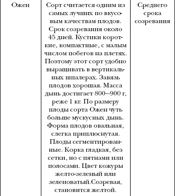 Ветер переворачивает и скручивает стебли арбуза ломает листья Изза - фото 5