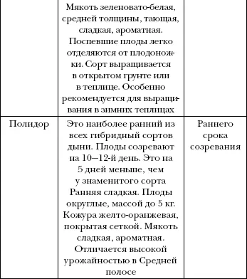 Ветер переворачивает и скручивает стебли арбуза ломает листья Изза - фото 6