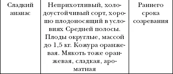 Ветер переворачивает и скручивает стебли арбуза ломает листья Изза - фото 7