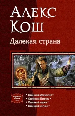 Алекс Кош Далекая страна обложка книги