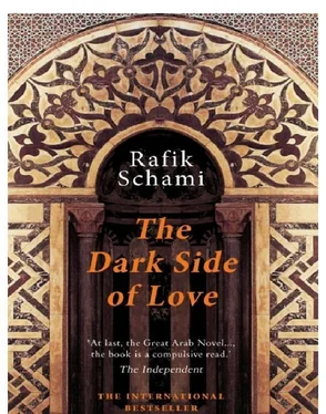 Rafik Schami The Dark Side of Love обложка книги
