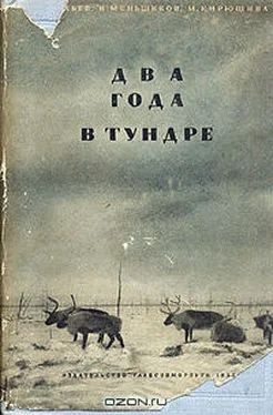 В. Васильев Два года в тундре обложка книги