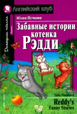 Юлия Пучкова Забавные истории котенка Рэдди / Reddy's Funny Stories обложка книги