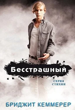 Бриджид Кеммерер Бесстрашный (ЛП) обложка книги