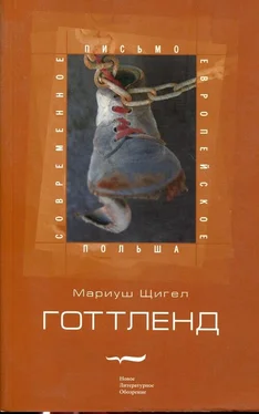 Мариуш Щигел Готтленд обложка книги